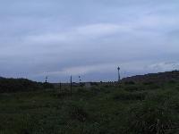 Picture35726