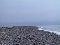 Picture35813
