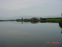 Picture355106