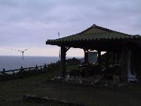 Picture444261