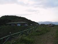 Picture444324