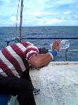 HOT SUMMER DAY ON THE SEA