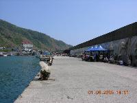 Harbor