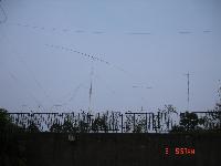 Picture545854