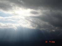 Picture566313