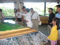 Gallery_Show_PicHolder_Picture