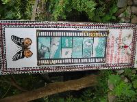 Gallery_Show_PicHolder_Picture