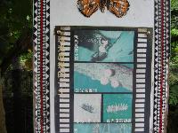 Gallery_Show_PicHolder_Picture