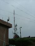 Picture515830