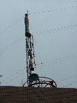 Picture515851
