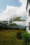 Building View