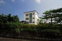 Building View