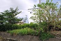 Building View
