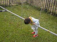Picture6914764