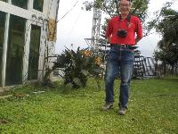 Picture697381