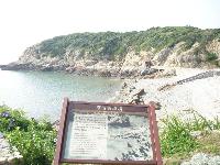 Tour_Tide And Enviroment