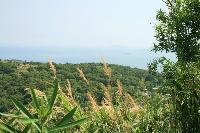 View_From Mt. YunTai