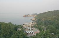 View_From The Shack