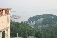 View_From The Shack