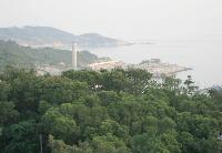 View_From The Shack