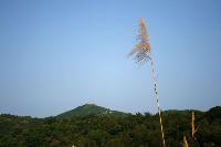 View_Mt. YunTai From Shack