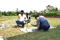 Picture768072