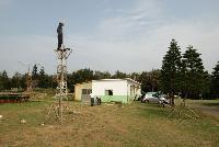 Picture768131