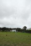 Picture768179