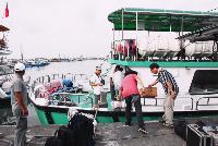 Picture799229