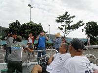 Picture799233