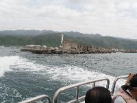 Picture799238