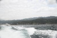 Picture799240