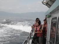 Picture799260