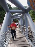 Picture799288