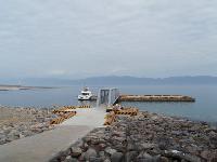 Picture799312