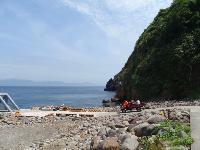 Picture799314