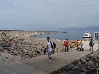 Picture799307
