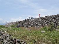 Picture799377
