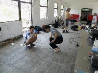 Picture799374