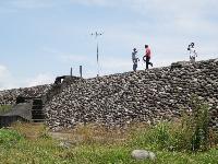 Picture799382