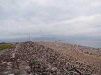 Picture799398