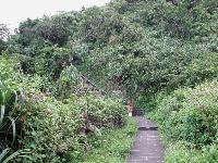 Picture799540