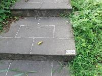 Picture799552