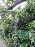 Picture799559