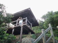 Picture799564