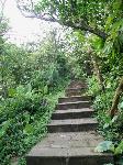 Picture799560