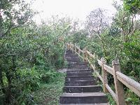 Picture799570