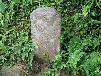 Picture799556