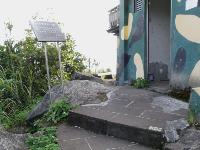 Picture799574