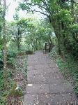 Picture799572